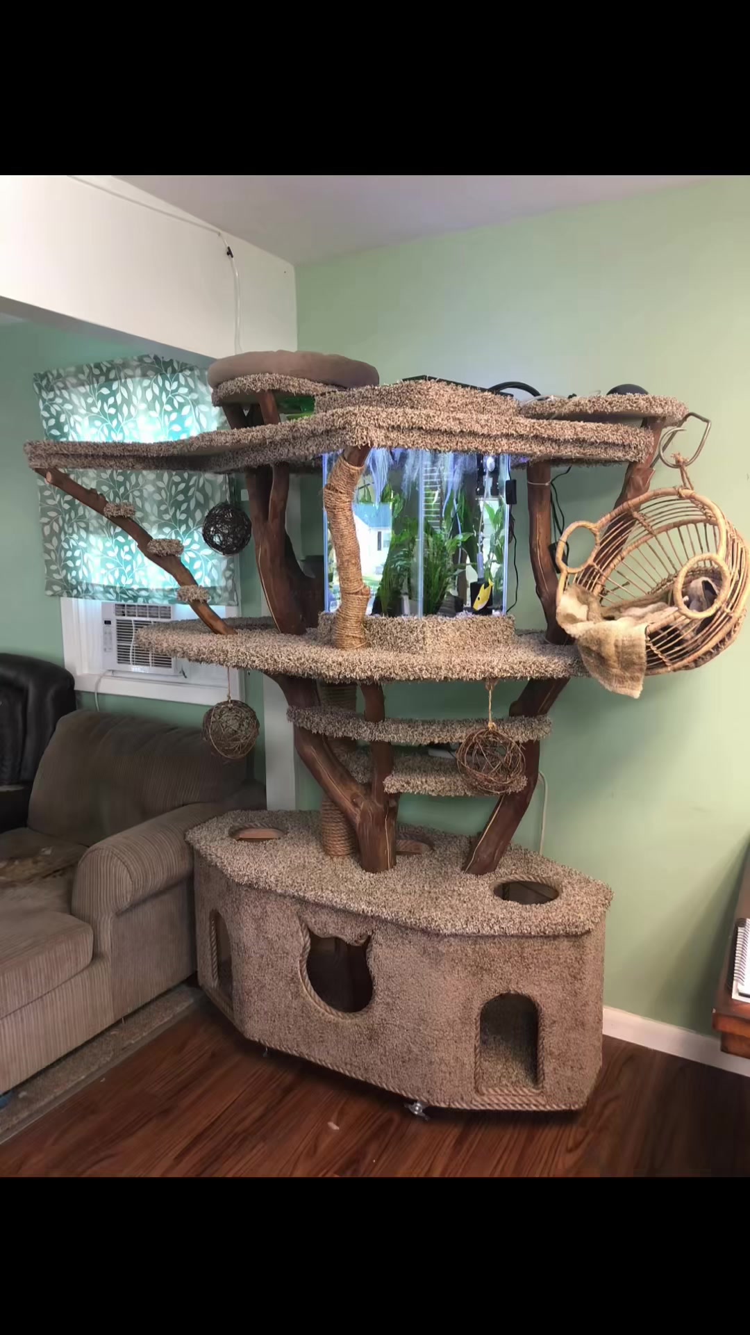 @Backyardables party rentals
