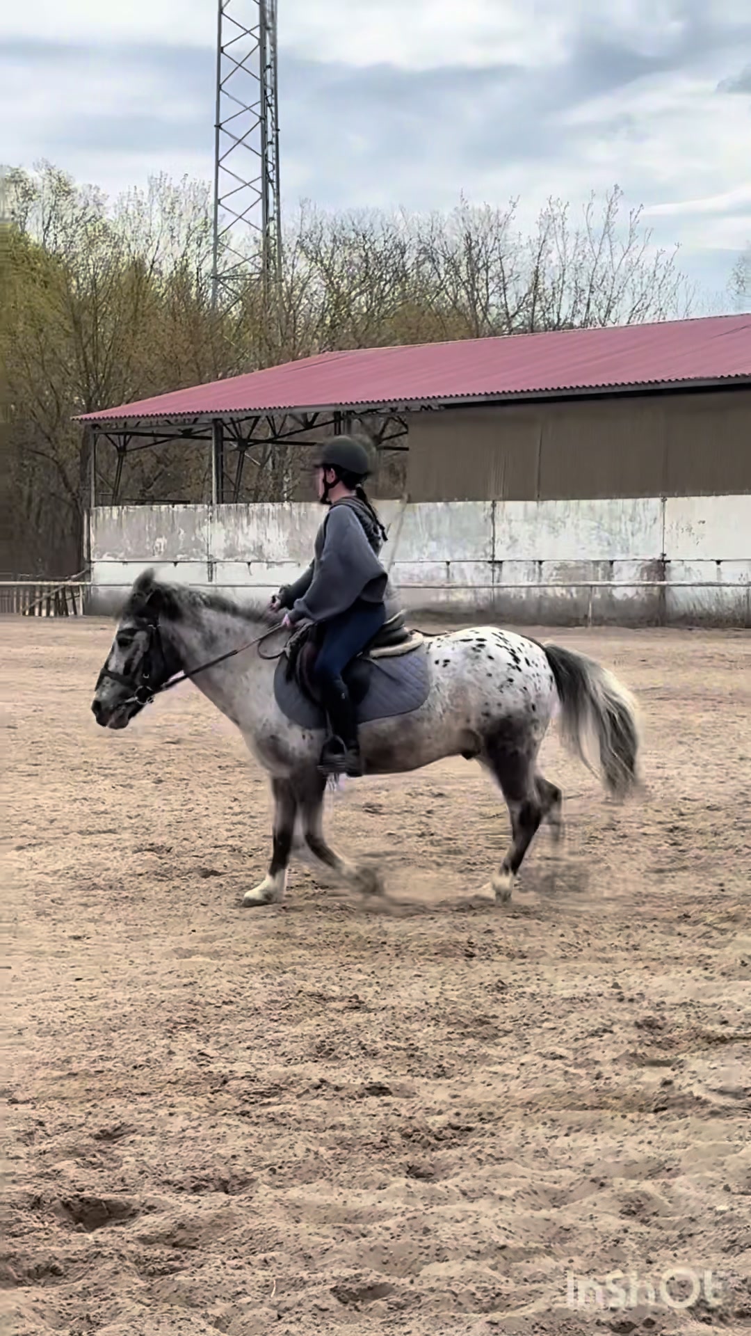 @l.equestrian🪽