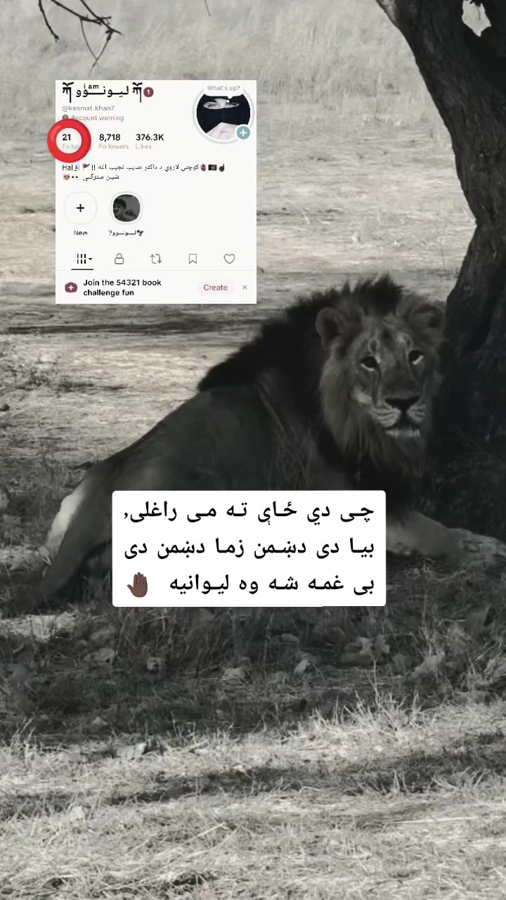 @ཀོ لـیــونـͫــͣــͥوو ཀོ