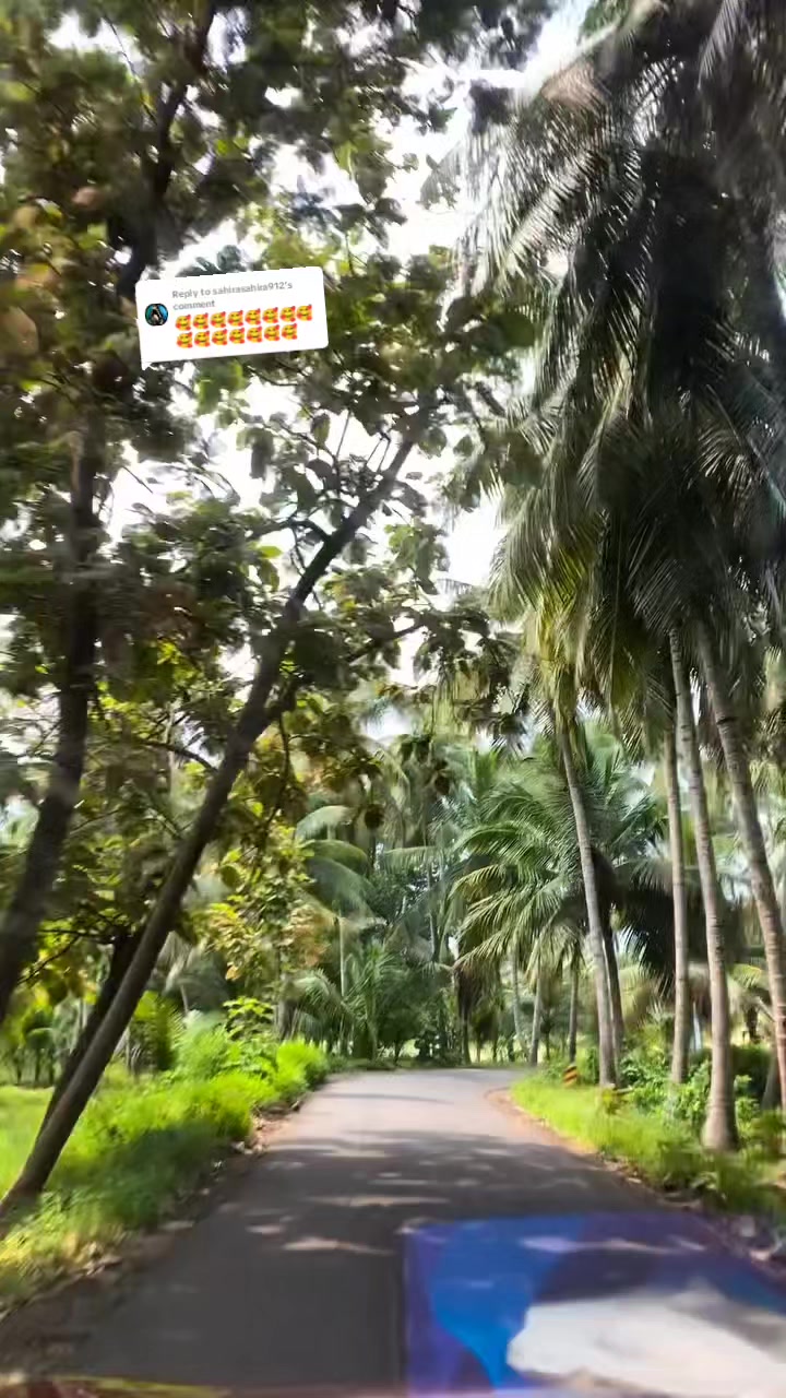 @பேப்பர் ஐடி    248 🌹1