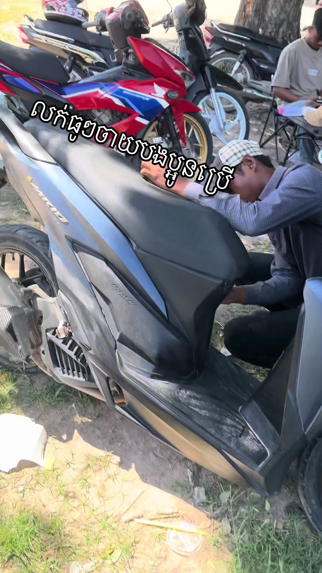 @fbbrotoro1