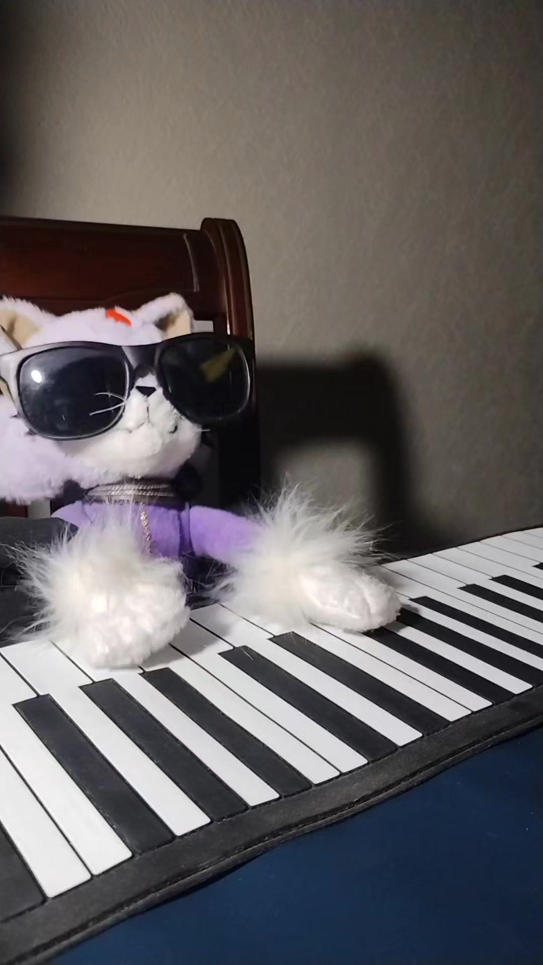 @Oneiros the cat