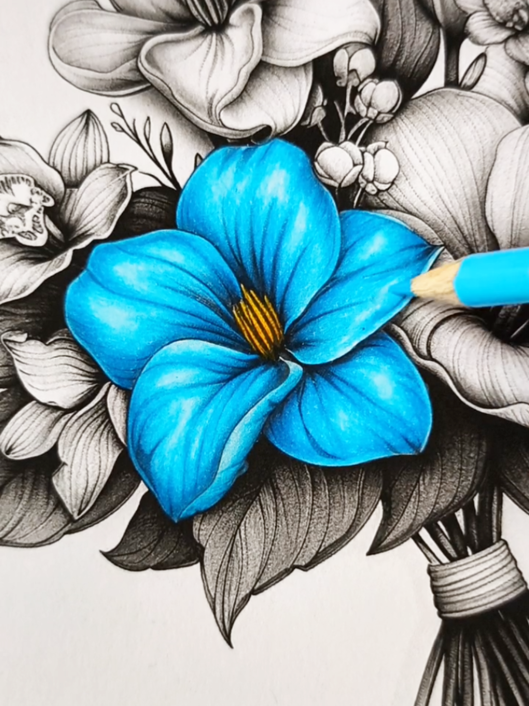 @Syaf.ColorArt