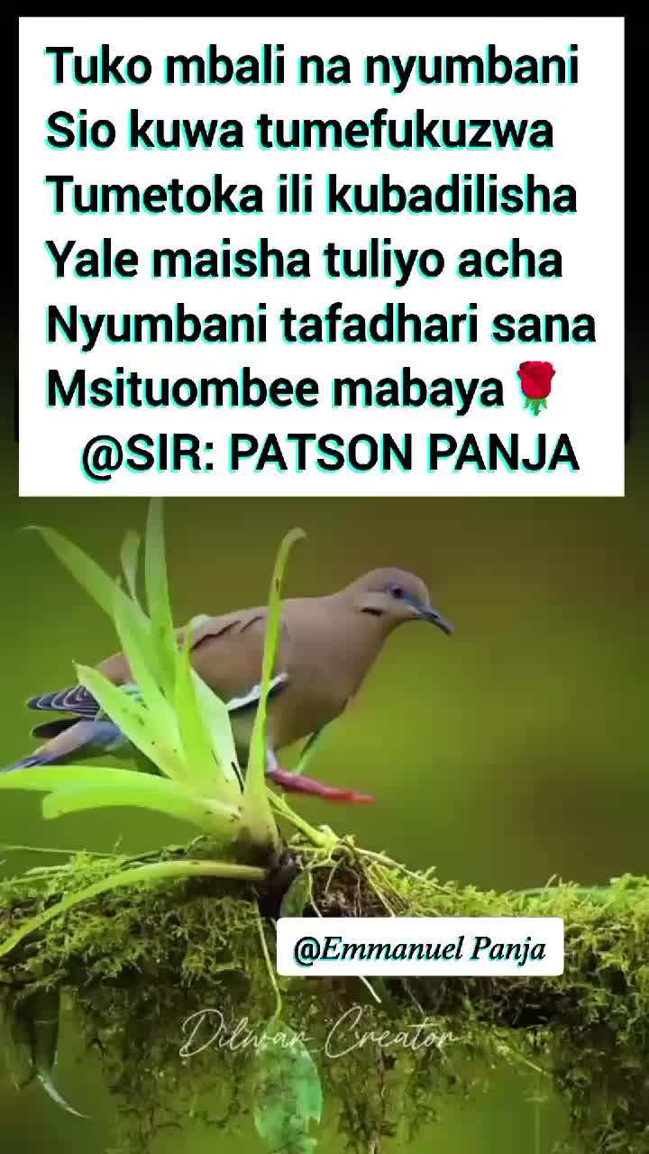 @@panja_tz
