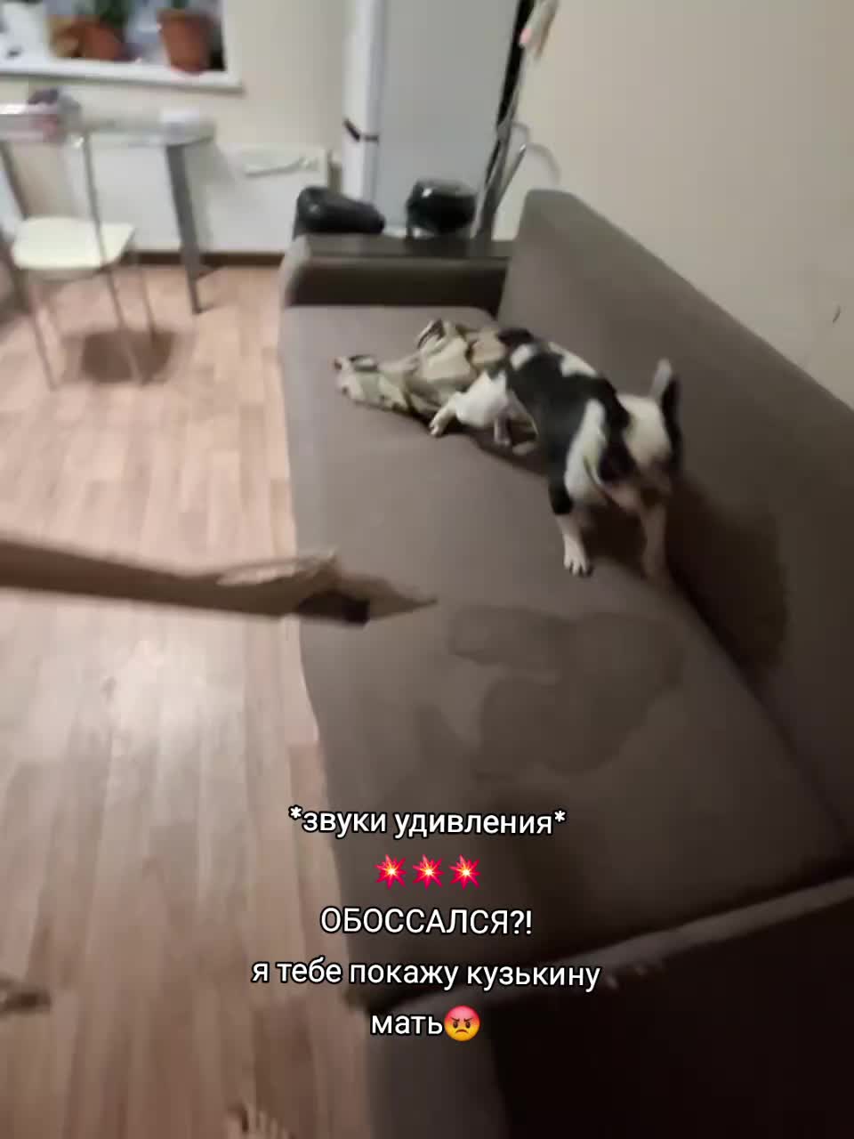 @🐰