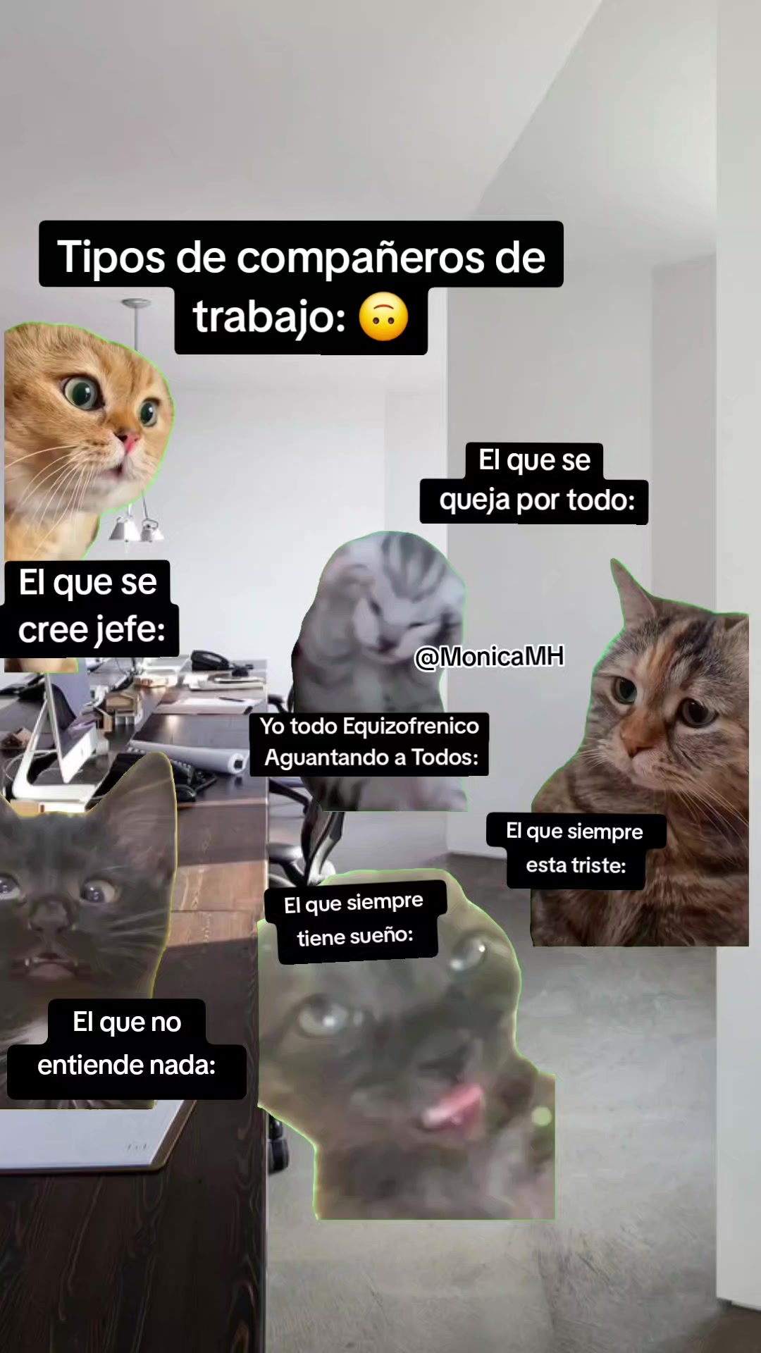 @Mónica MH