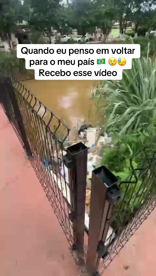 @thamirispereiras