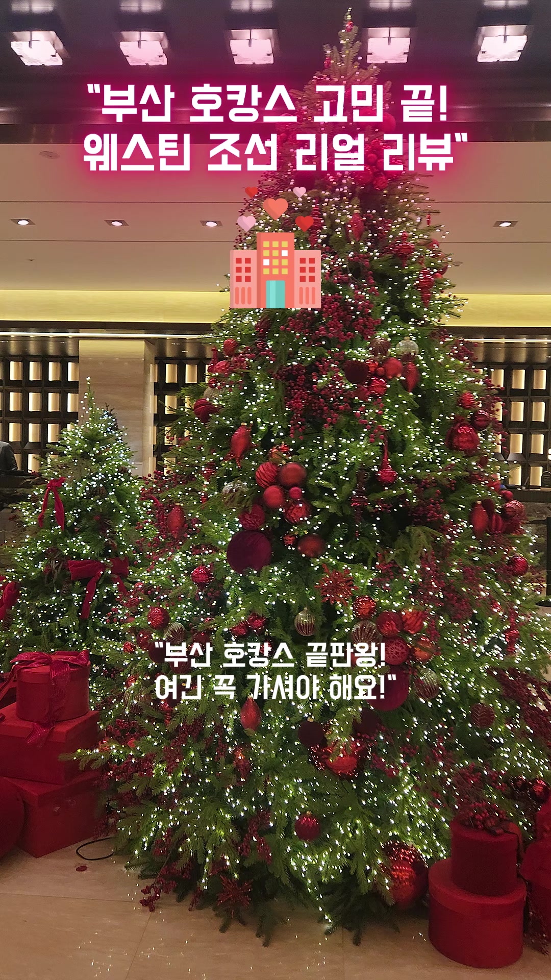 @로즈