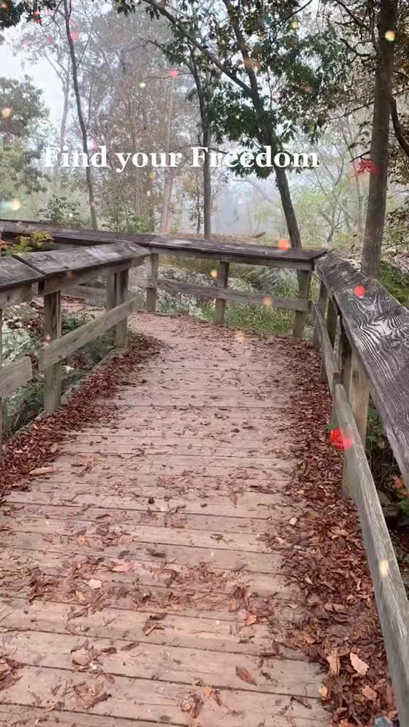 @Monica C