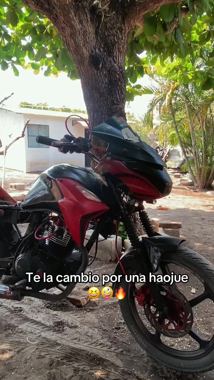 @𝑨 𝑳 𝑬 𝑿 •🚀🫨