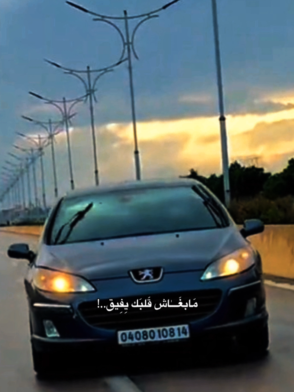 @𝐒𝐀𝐃𝐄𝐊 𝐓𝐈𝐓𝐎 
