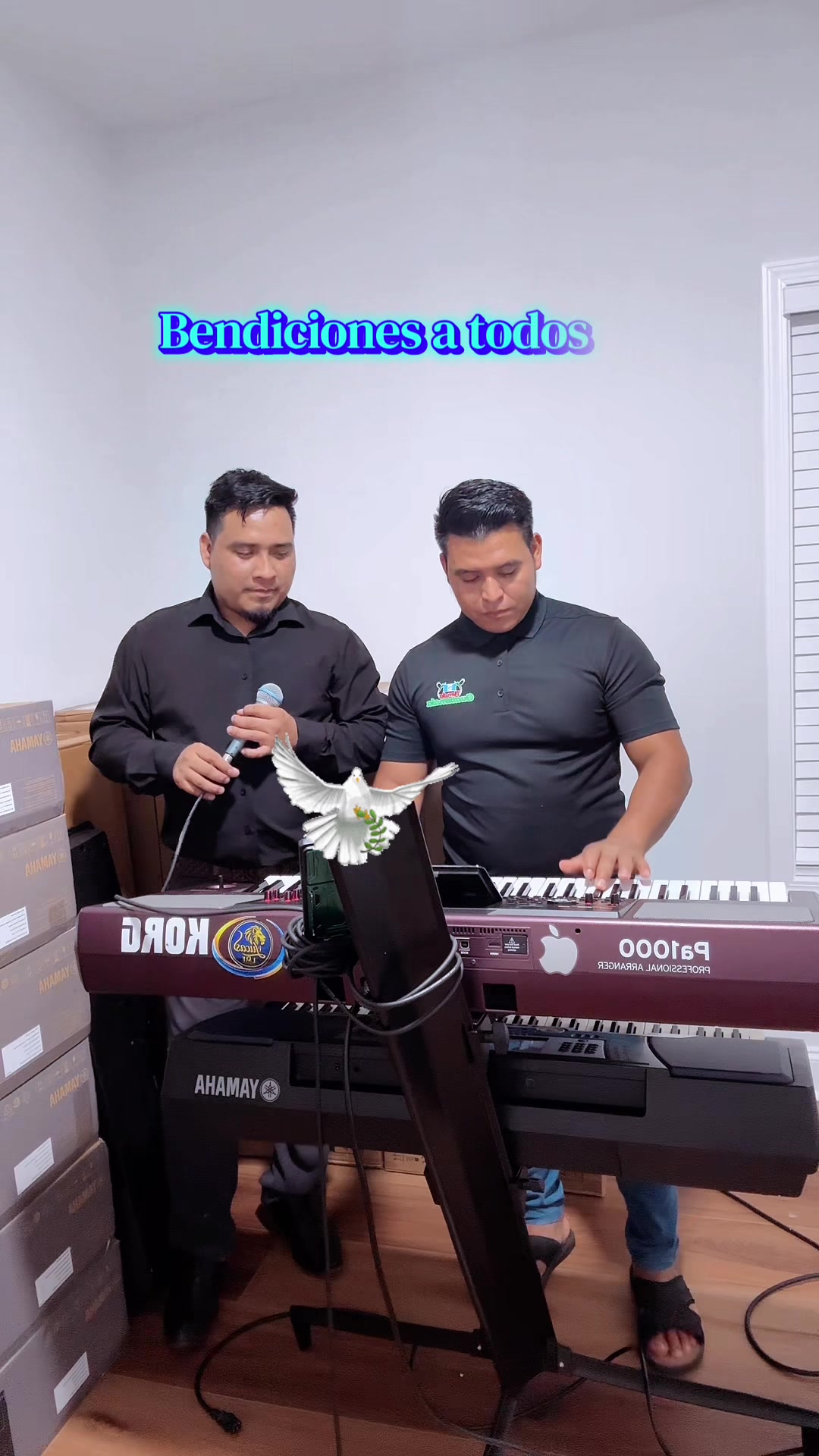 @Lucas502