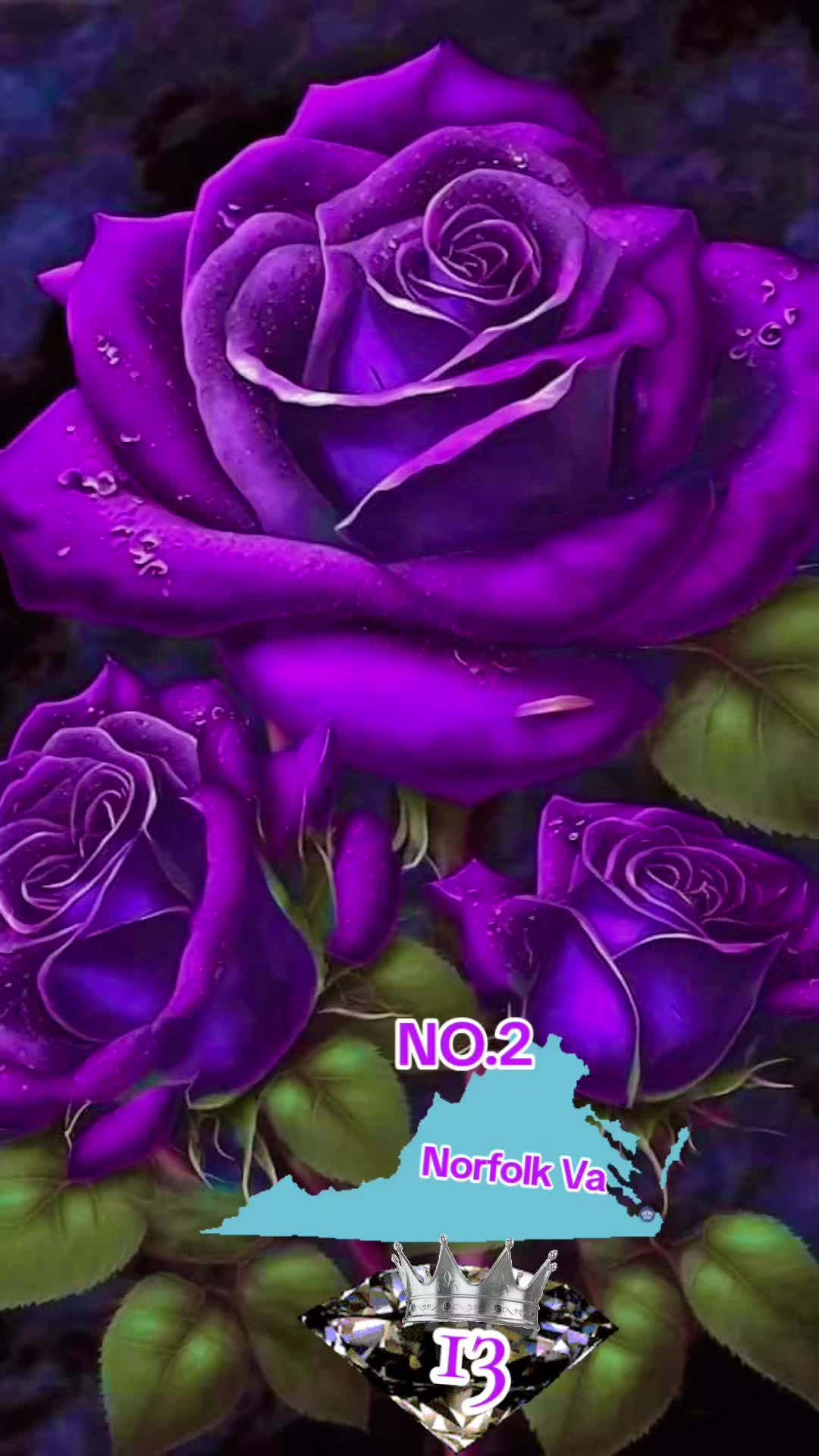 @CONQUEROR13