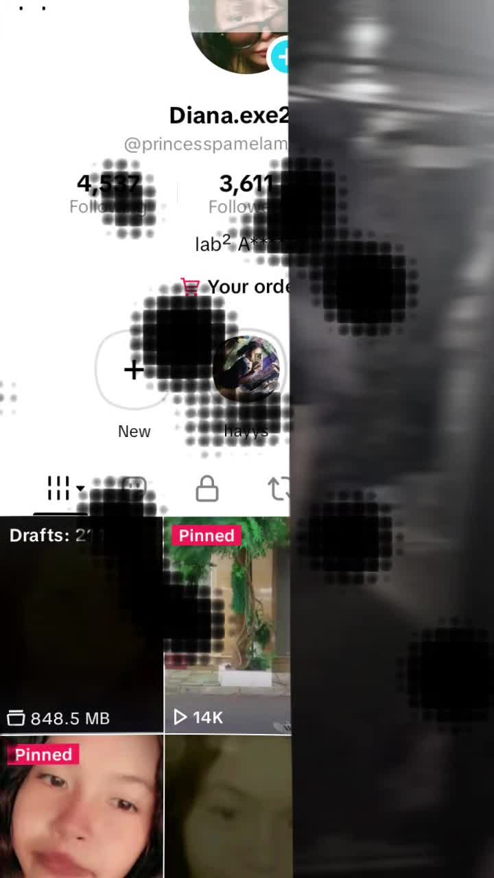 @Diana.exe21
