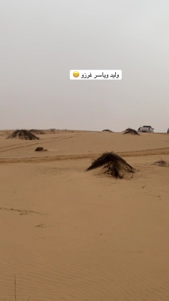 @ابـراهـيـم احـيـوي🦅