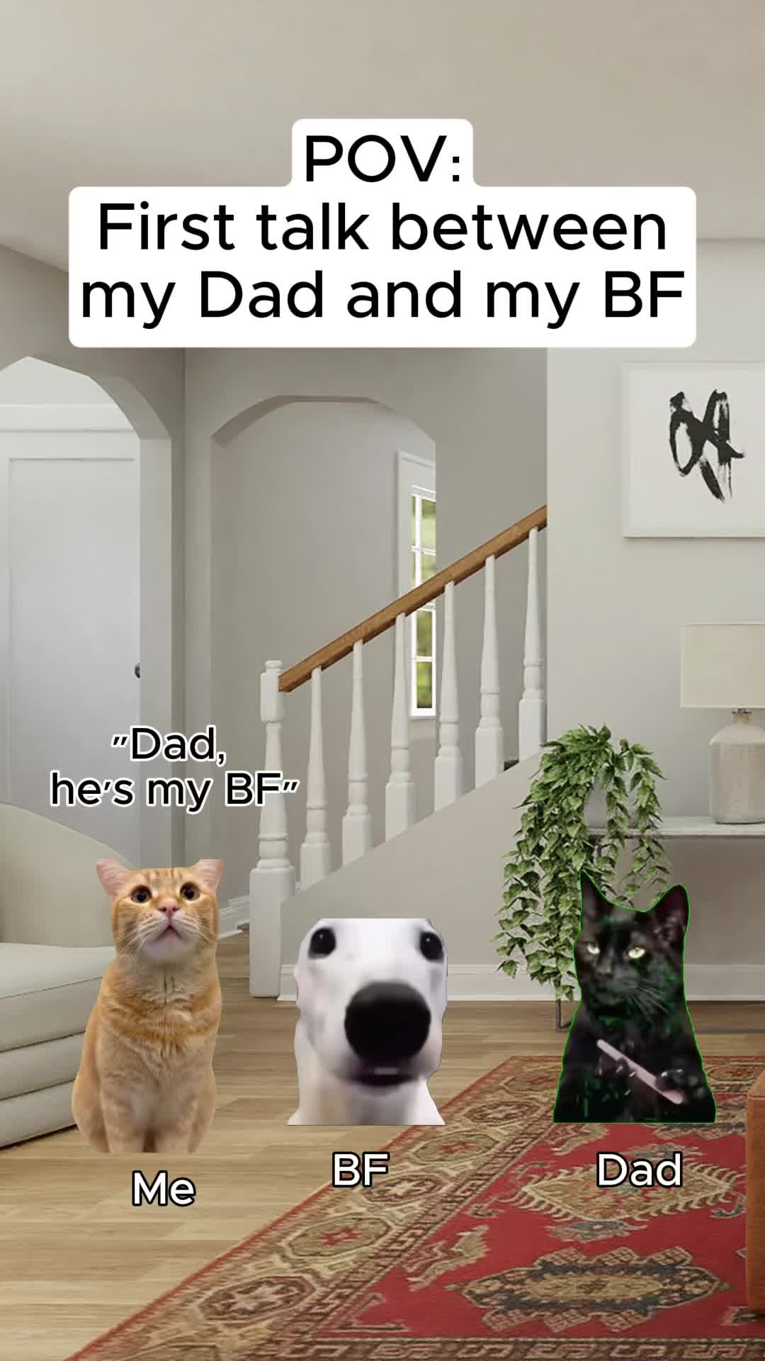 @Meme Meow 🐈🐈⬛