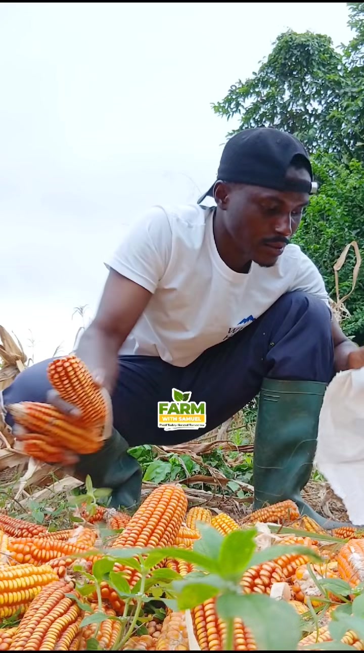 @Farm with Samuel
