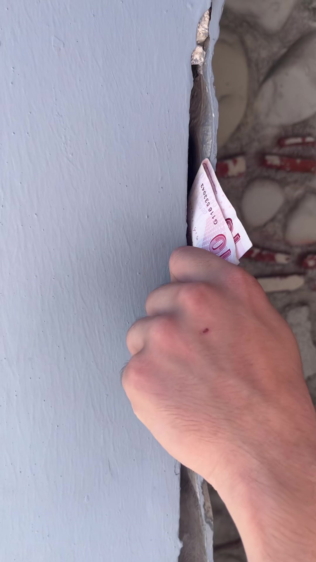 @&uuml;&ccedil;başlıklıbalıklar