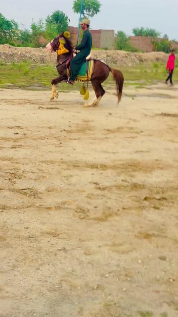@Rai Usman