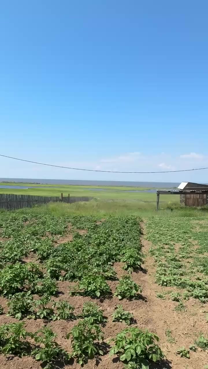 @Ольга03rus