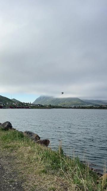 @ปาริสาAnn🇳🇴🇹🇭🏔️🌲🗻