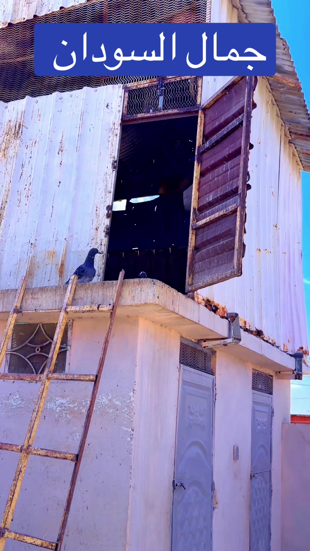 @بلال حسن المكي