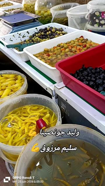 @🌿MOUSSA🫒Olive🥒Biskra🌴