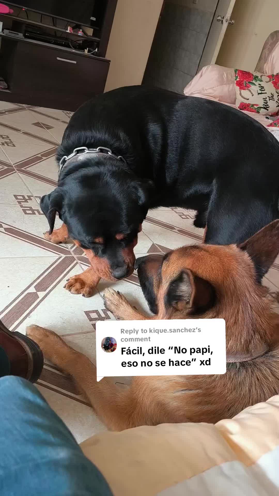 @Llamaha