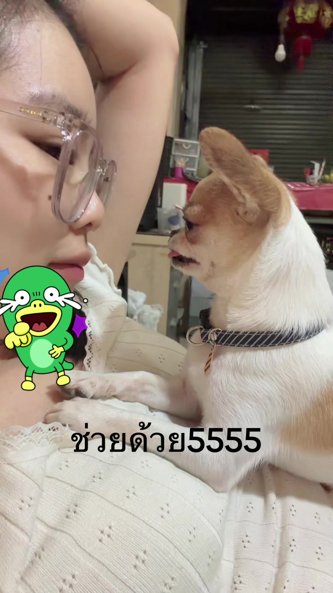 @บิ๊กบอสลูกมีน่า🐶