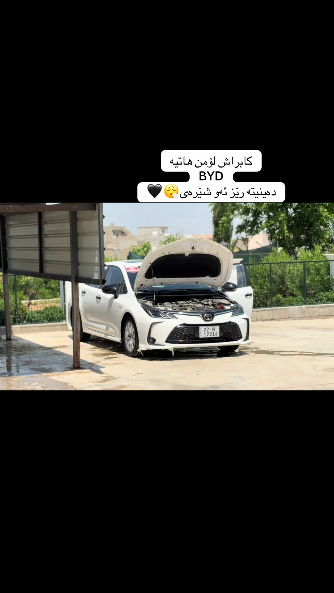 @hama-haybred