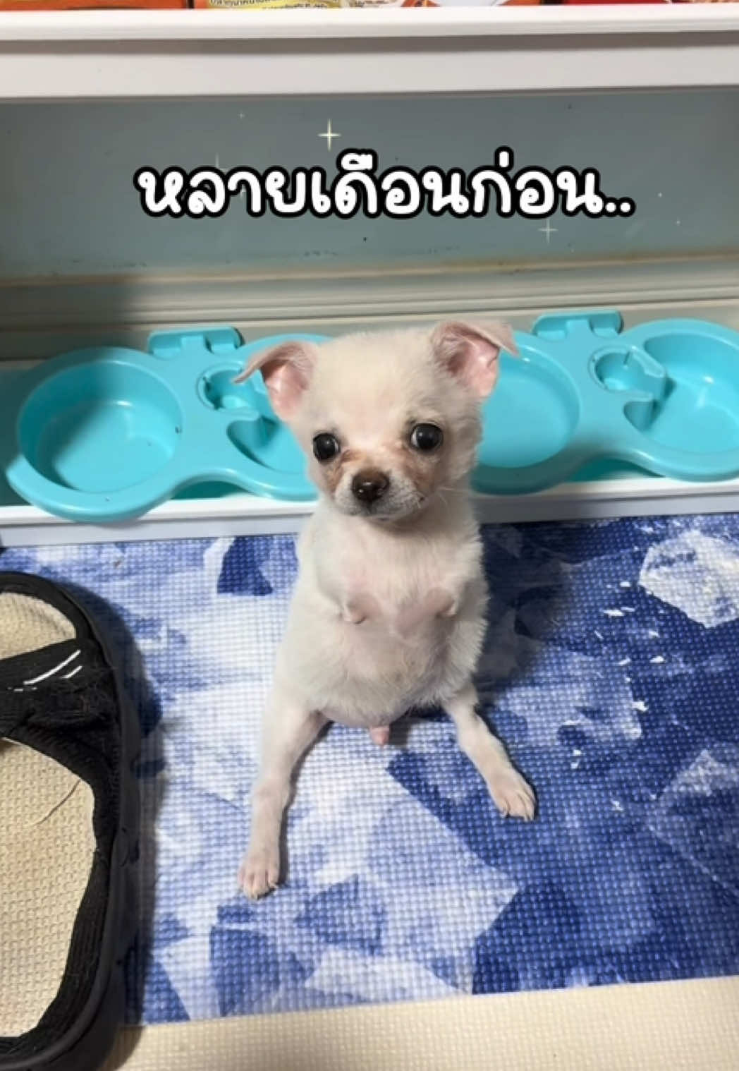 @ผมชื่อเฟิร์บ