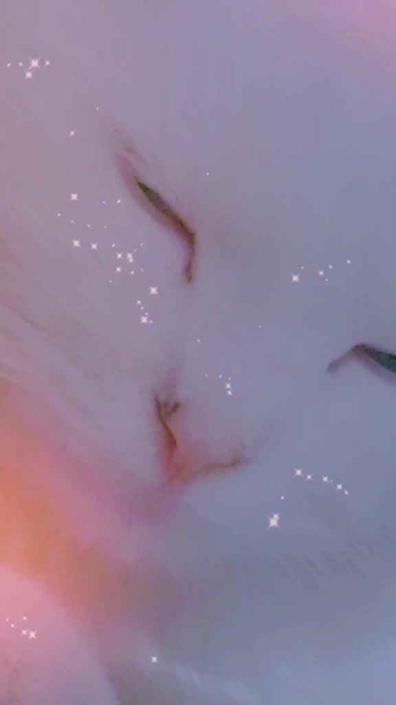 @𝓜𝔂𝓼𝓽𝓮𝓻𝓲𝓸𝓾𝓼 𝓰𝓲𝓻𝓵,