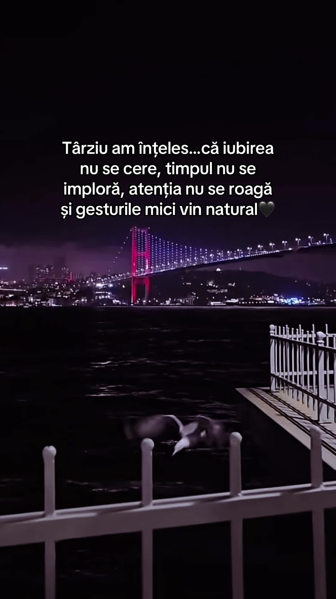 @𝓩✨🖤