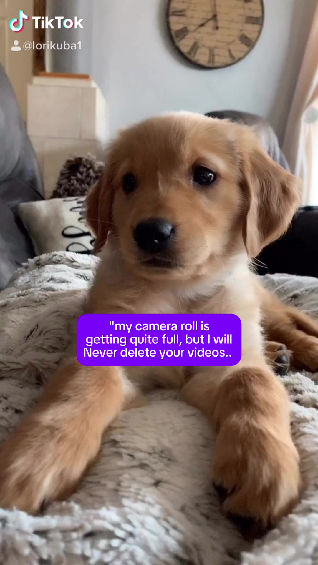 @Nemo, Cali & Fletcher