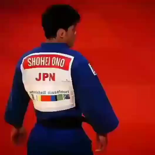 @mir_judo