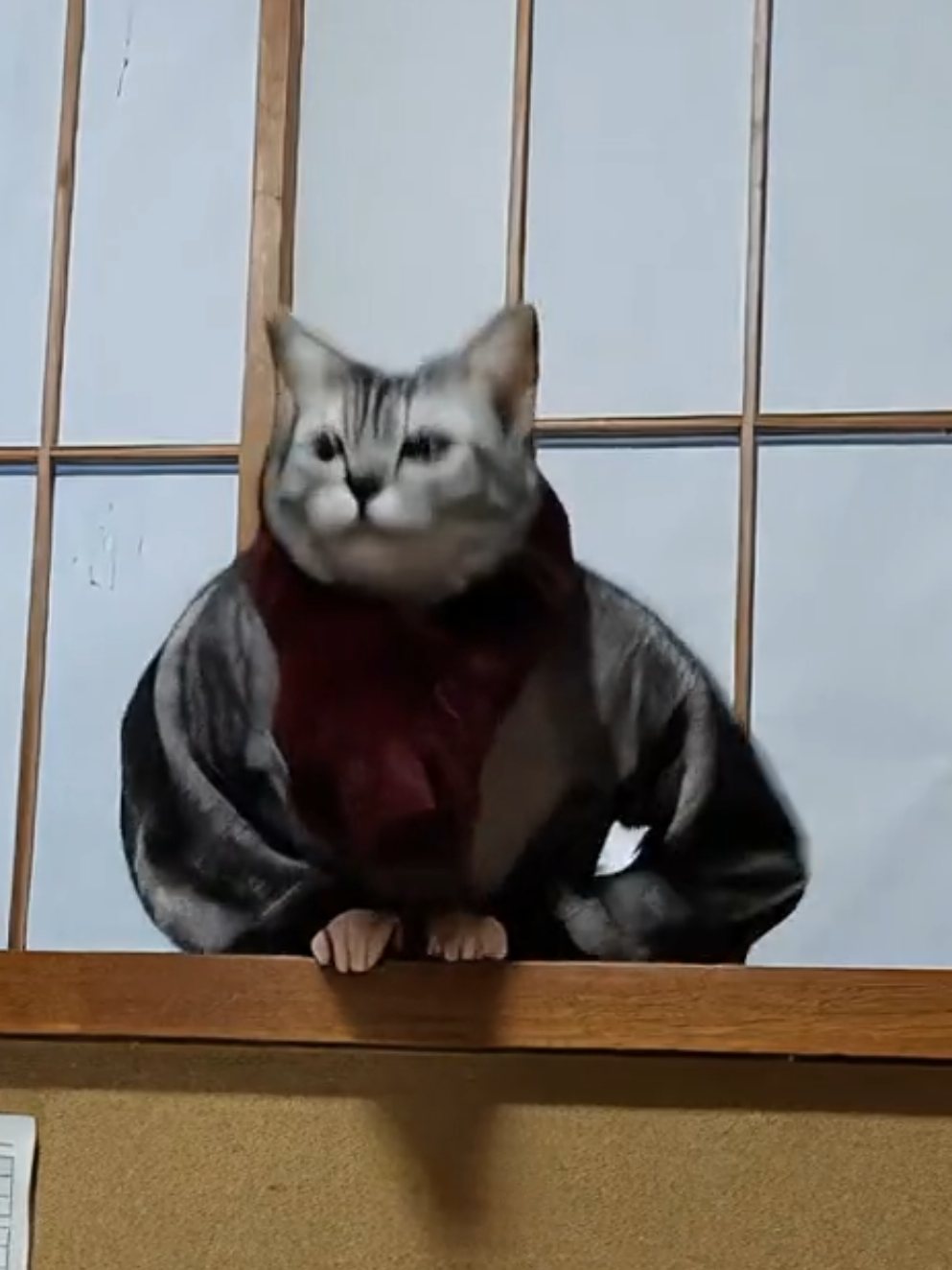 @juri-chan