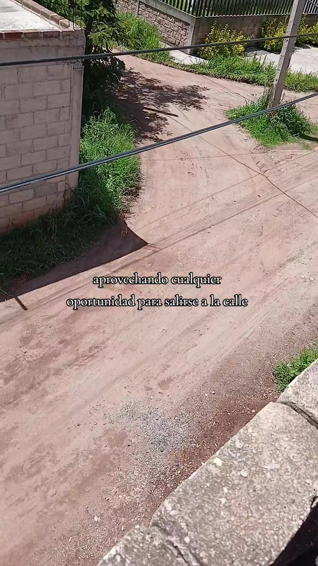 @MR