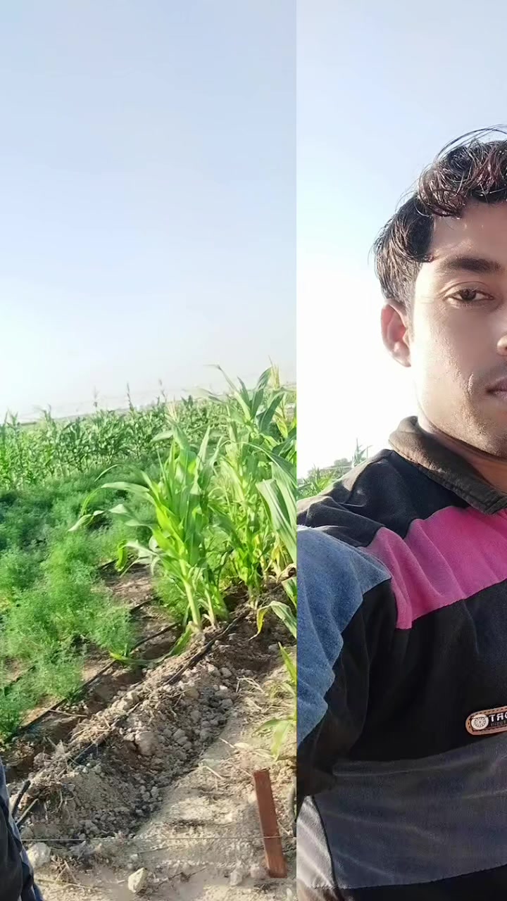 @Jitendra mandal