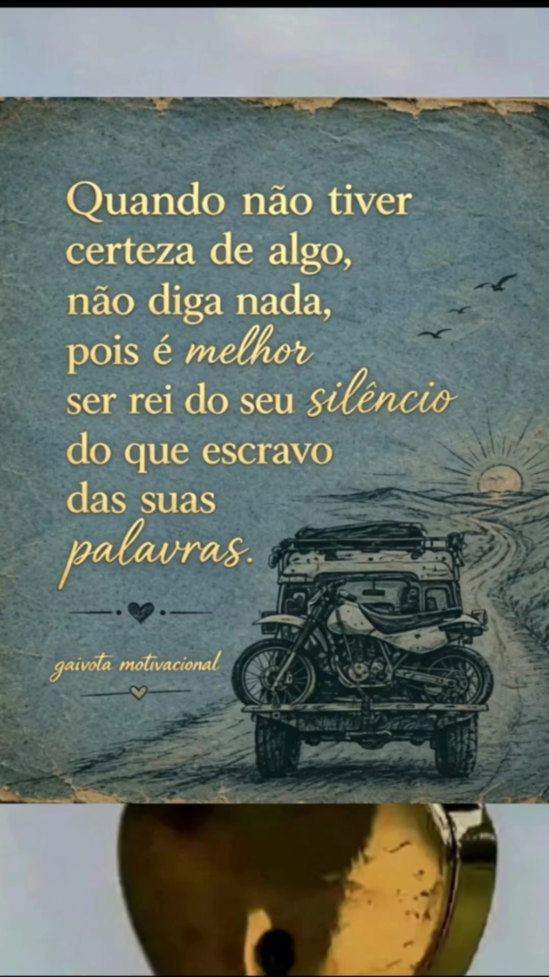 @Gaivota