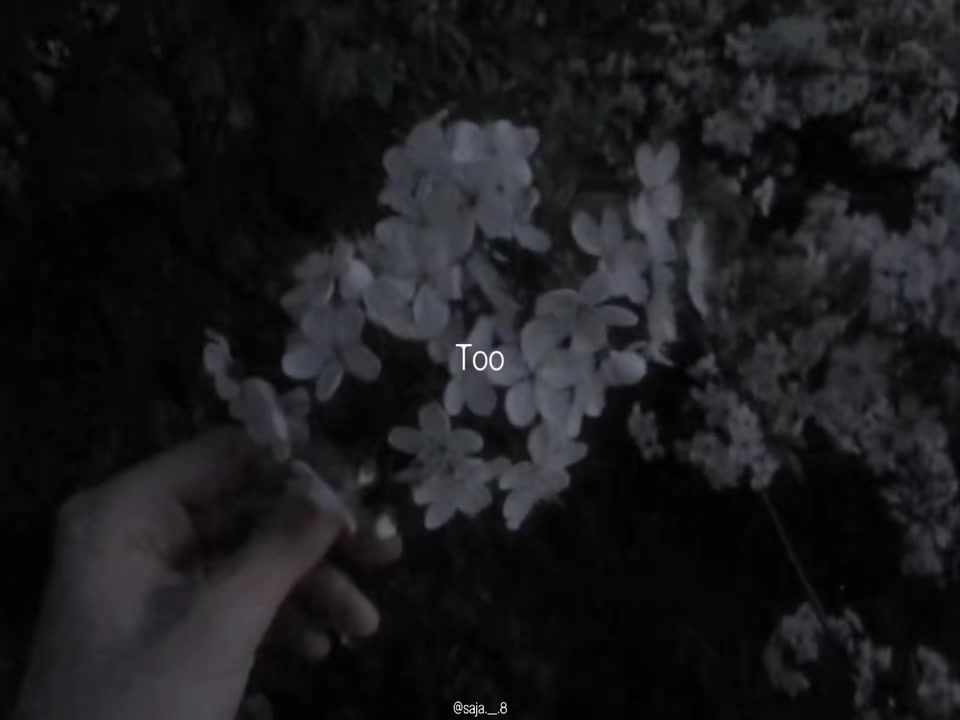 @๐ฉ๐ข๐ช