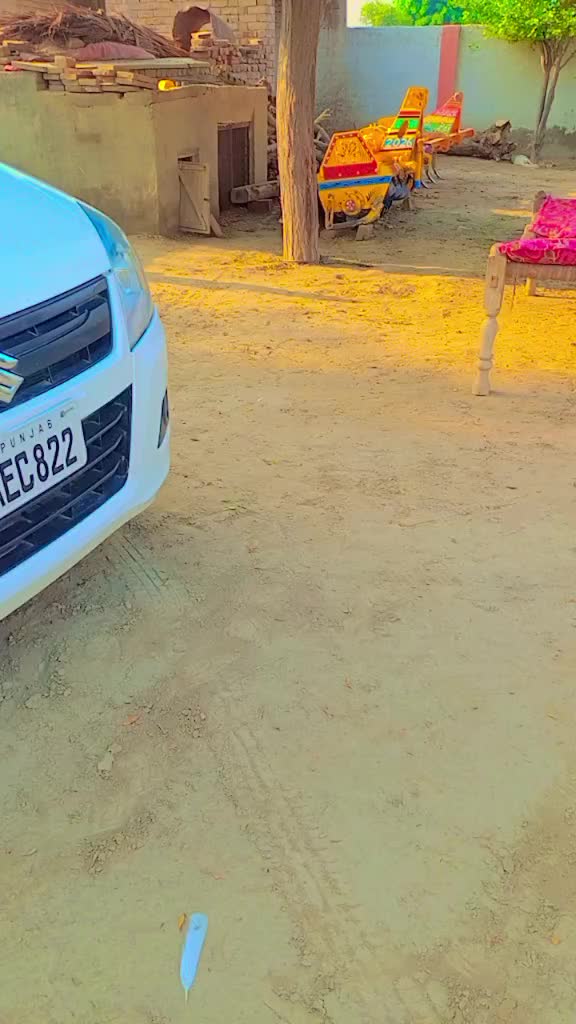 @پنجابی کلچر 🌾🍁