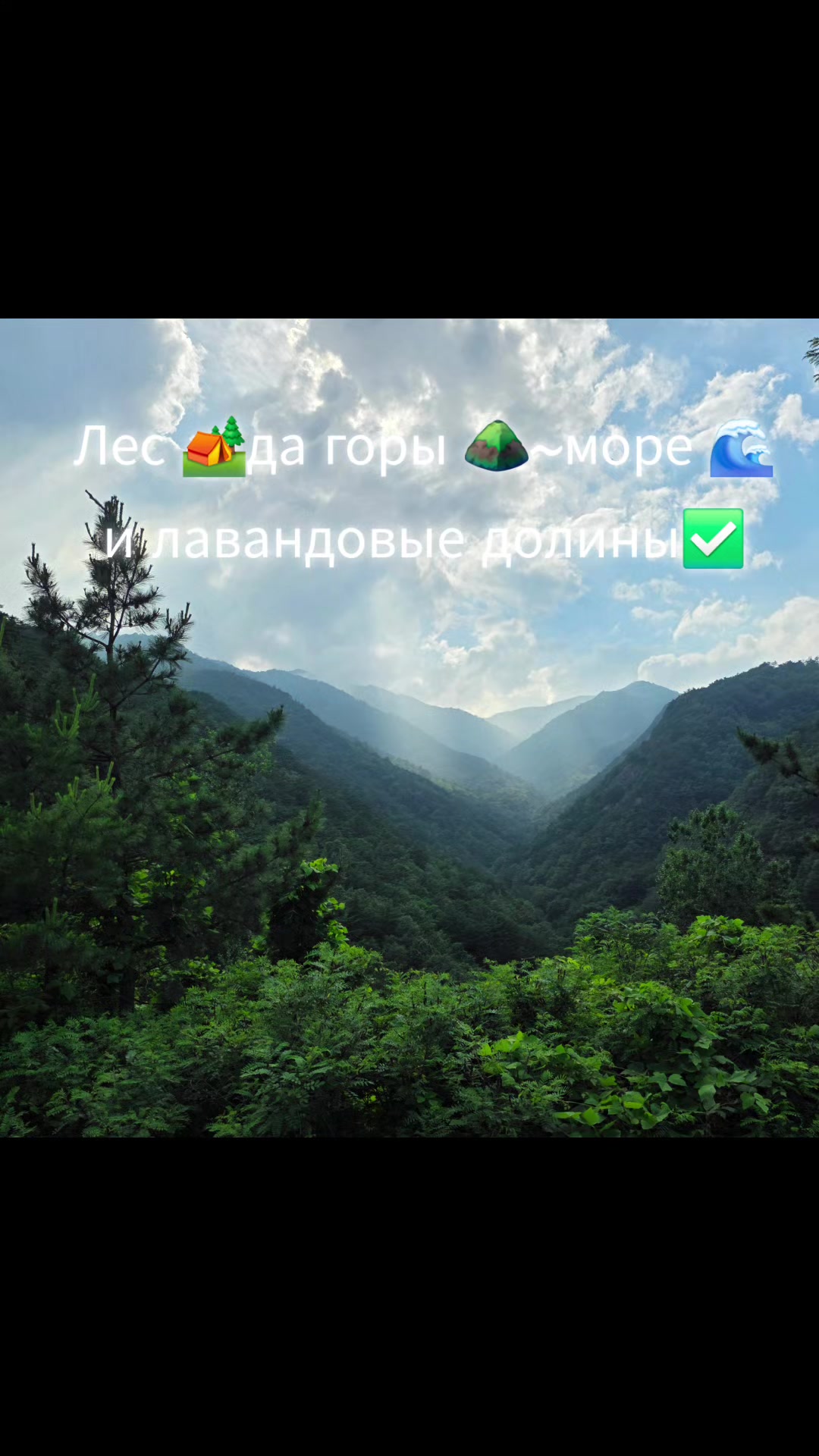 @Здоровый позвоночник♡Юж.Корея