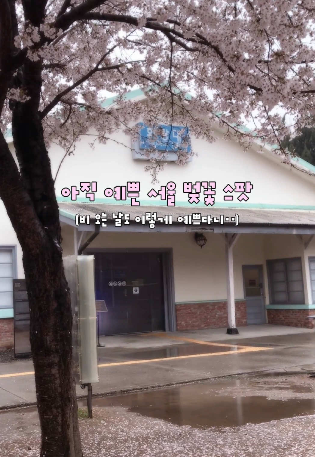@베리 ベリ🪄
