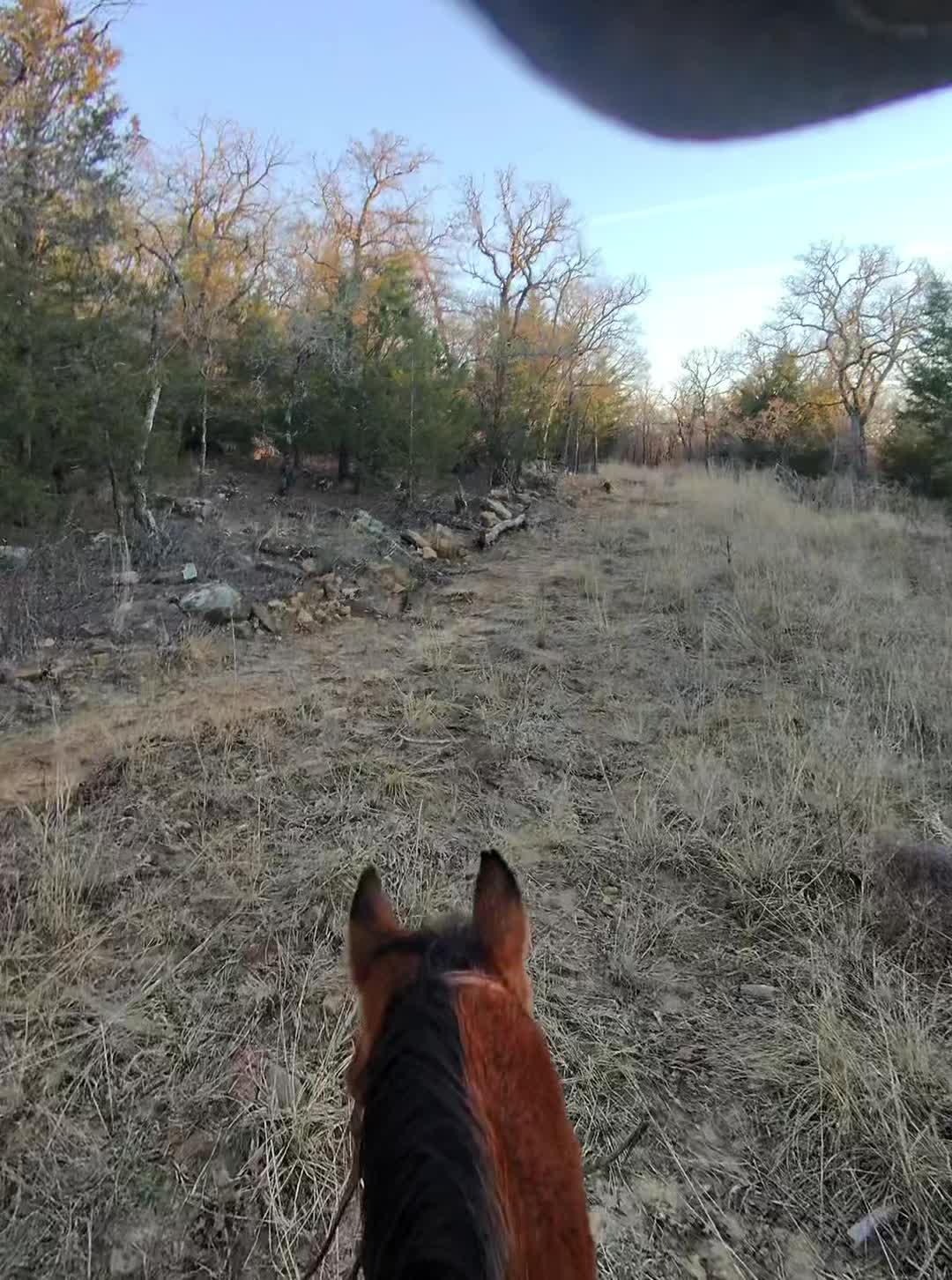 @Stewart Ranch Services