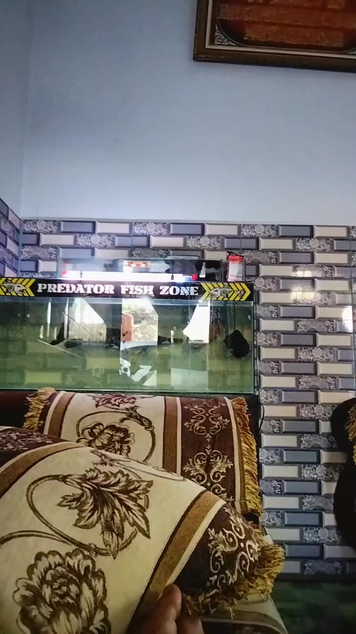 @aji pangestu