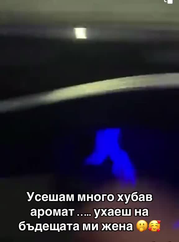 @Stefankochev