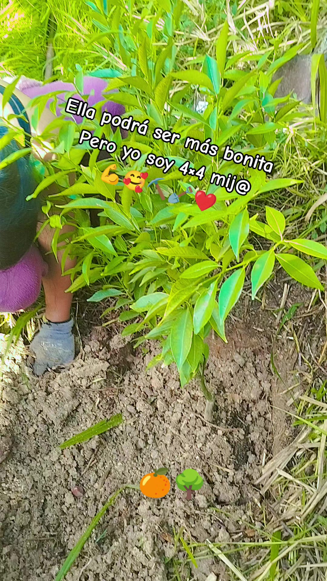 @Abigail 🇪🇨❤️