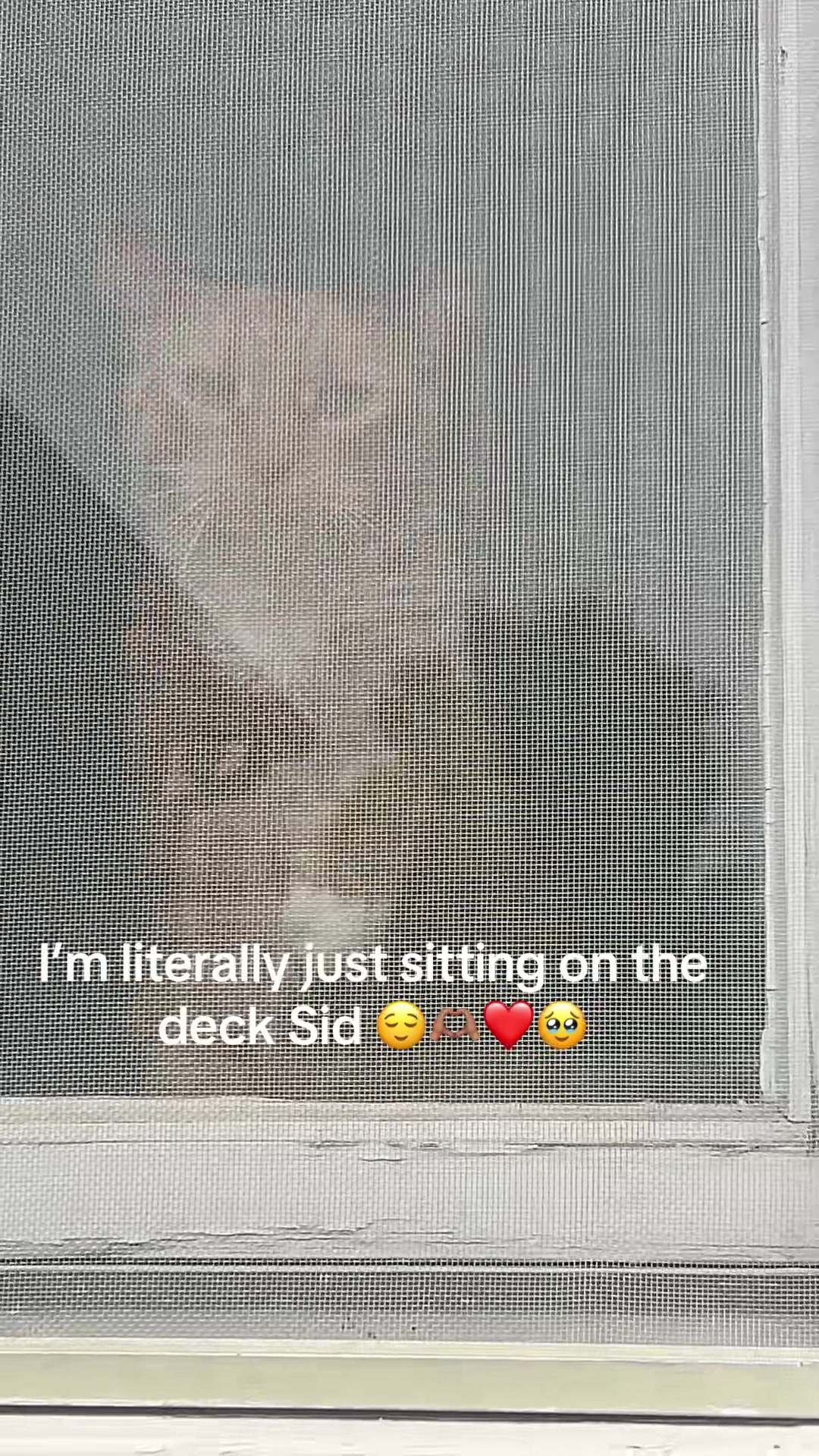 @Childless Cat Lady