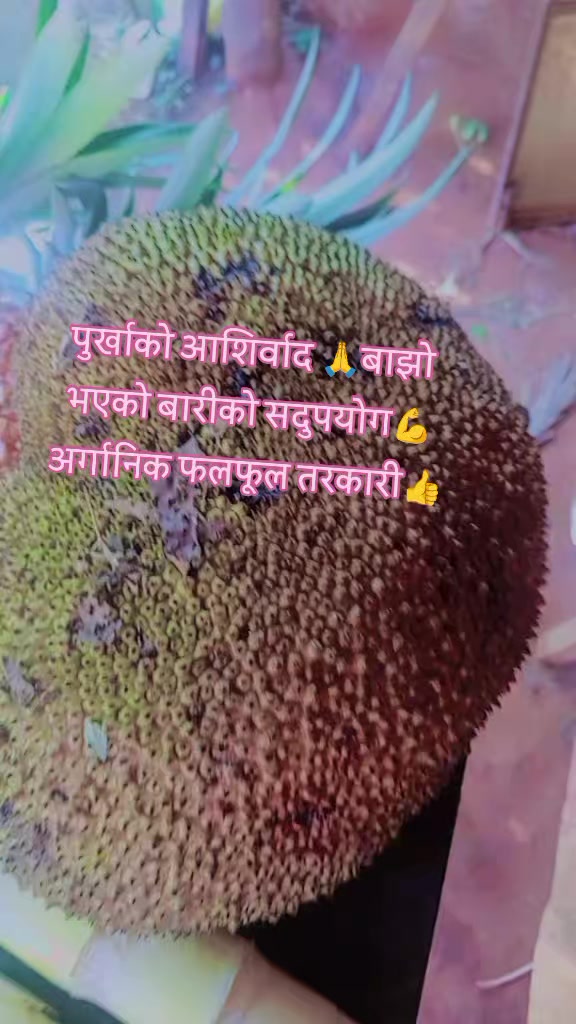 @Archana Khadka