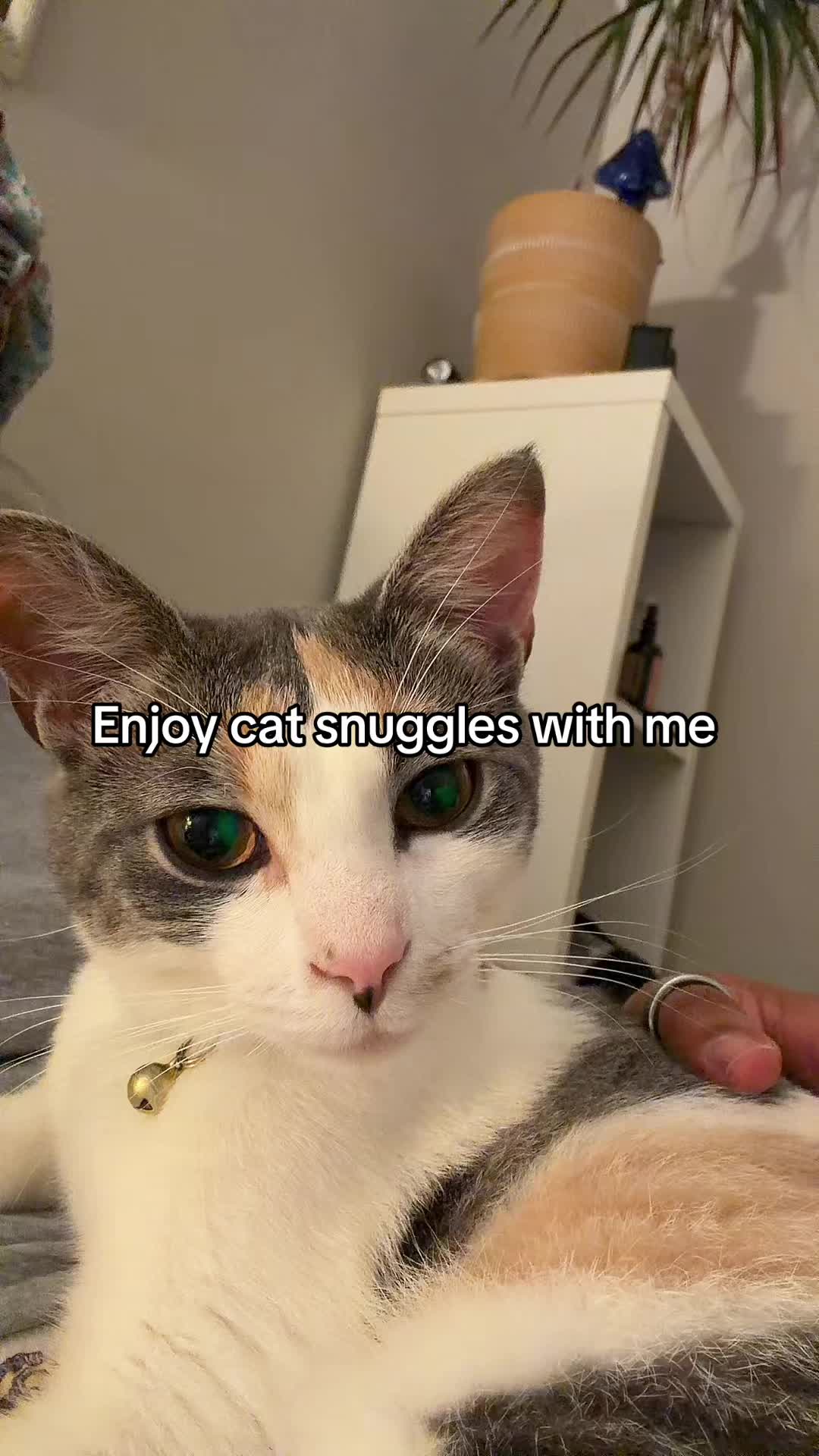 @KrisBit